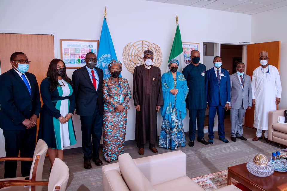 PRESIDENT BUHARI SUMMONS IMO GOVERNOR, POWER MINISTER, ECONOMIC ADVISER