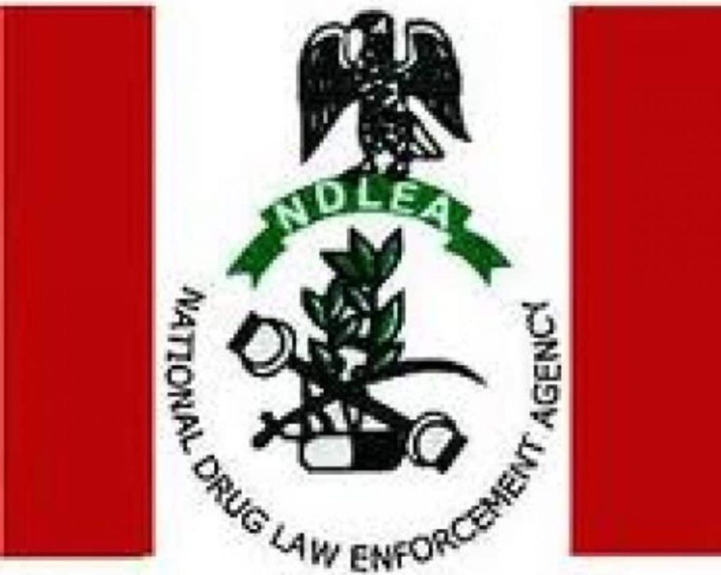 PRESIDENT BUHARI CONGRATULATES NDLEA CHAIRMAN, GEN.MARWA, ON DRUG BUST