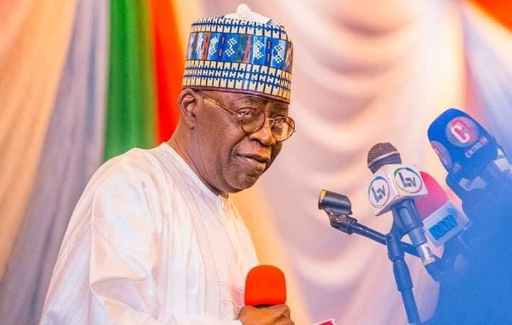 TINUBU: A CAT WITH MANY LIVES.