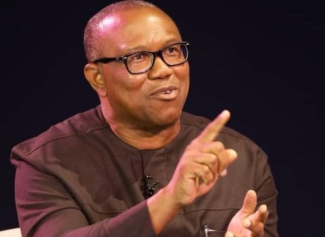 A New Nigeria is not only possible; it is already being born and Nigeria will prevail and rise, says Peter Obi
